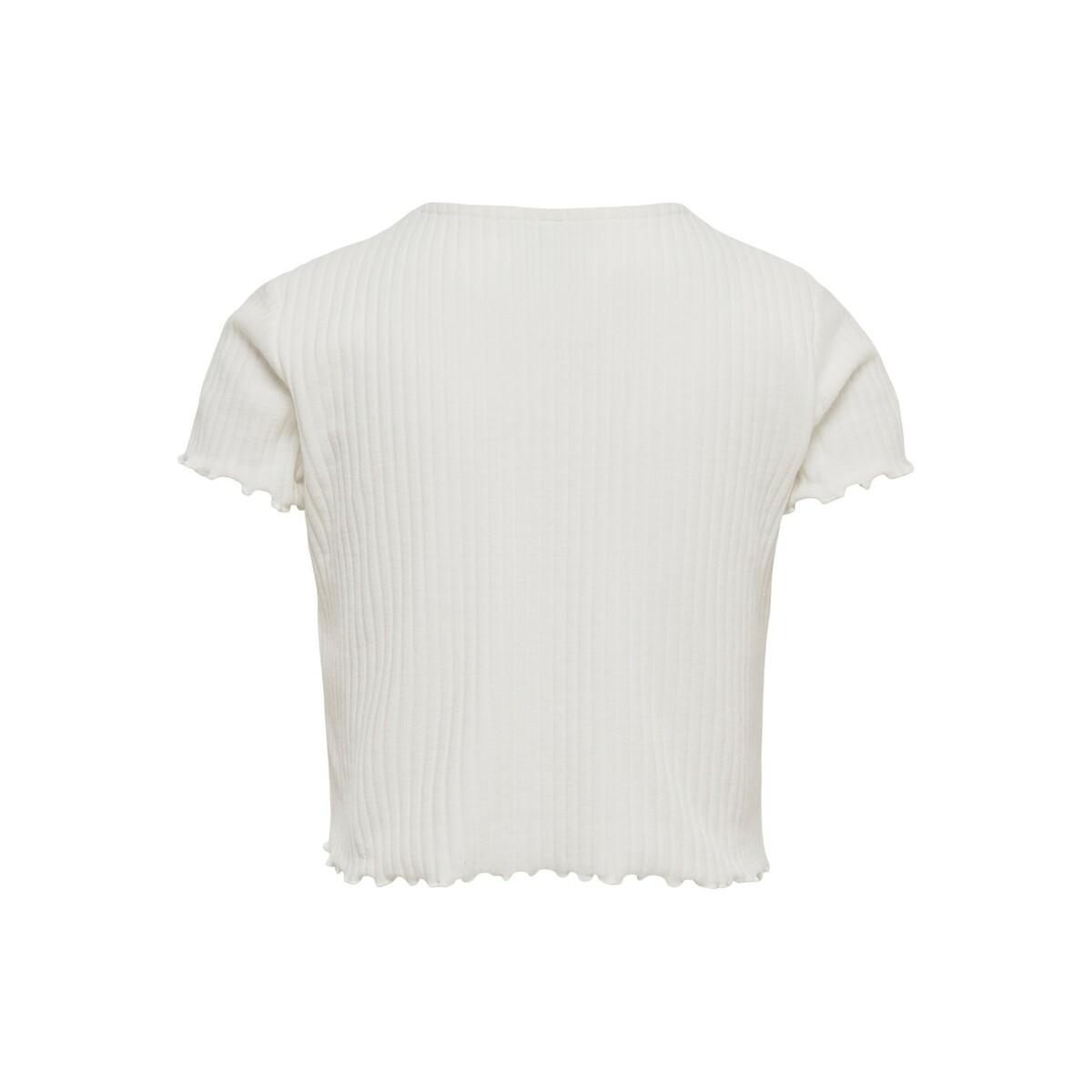 product/1/5/15225338-3610389_2.jpg