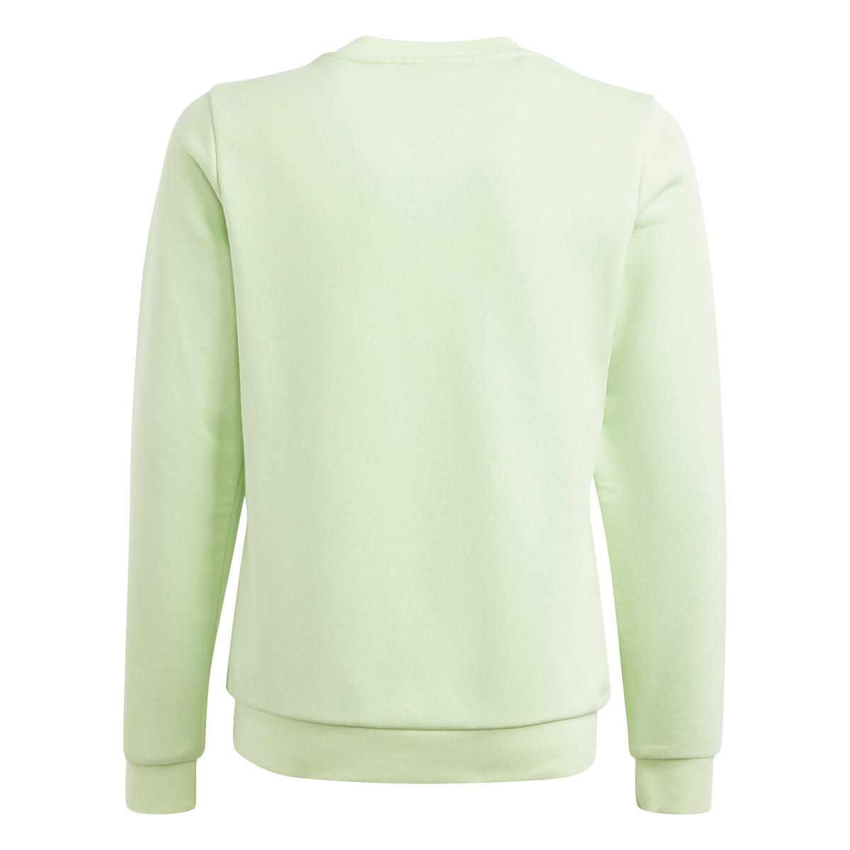 product/a/d/adidas_is2647_3_apparel_photography_back_center_view_white.jpg
