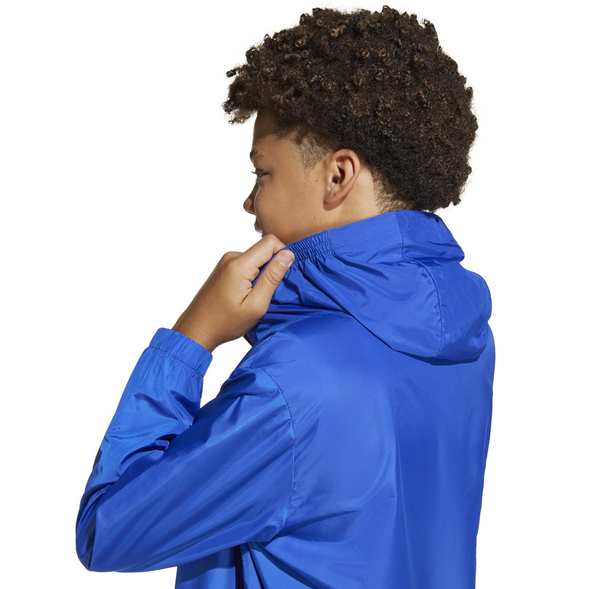 product/a/d/adidas_jd0024_royblu-globlu-white_6.jpg