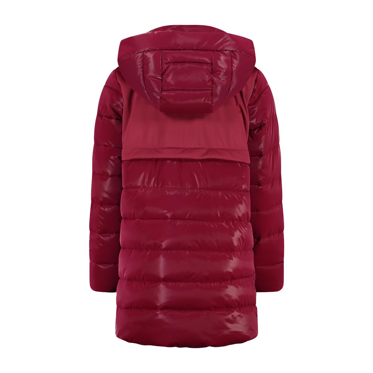 product/c/m/cmp_33k1485-h907_anemone_2.jpg