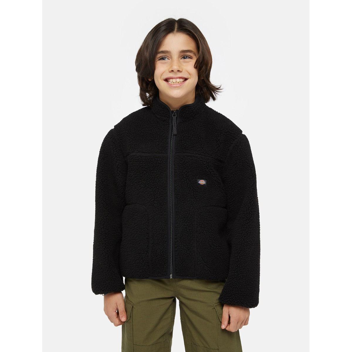 product/d/i/dickies_dk0a4z3tblk1_black_2.jpg