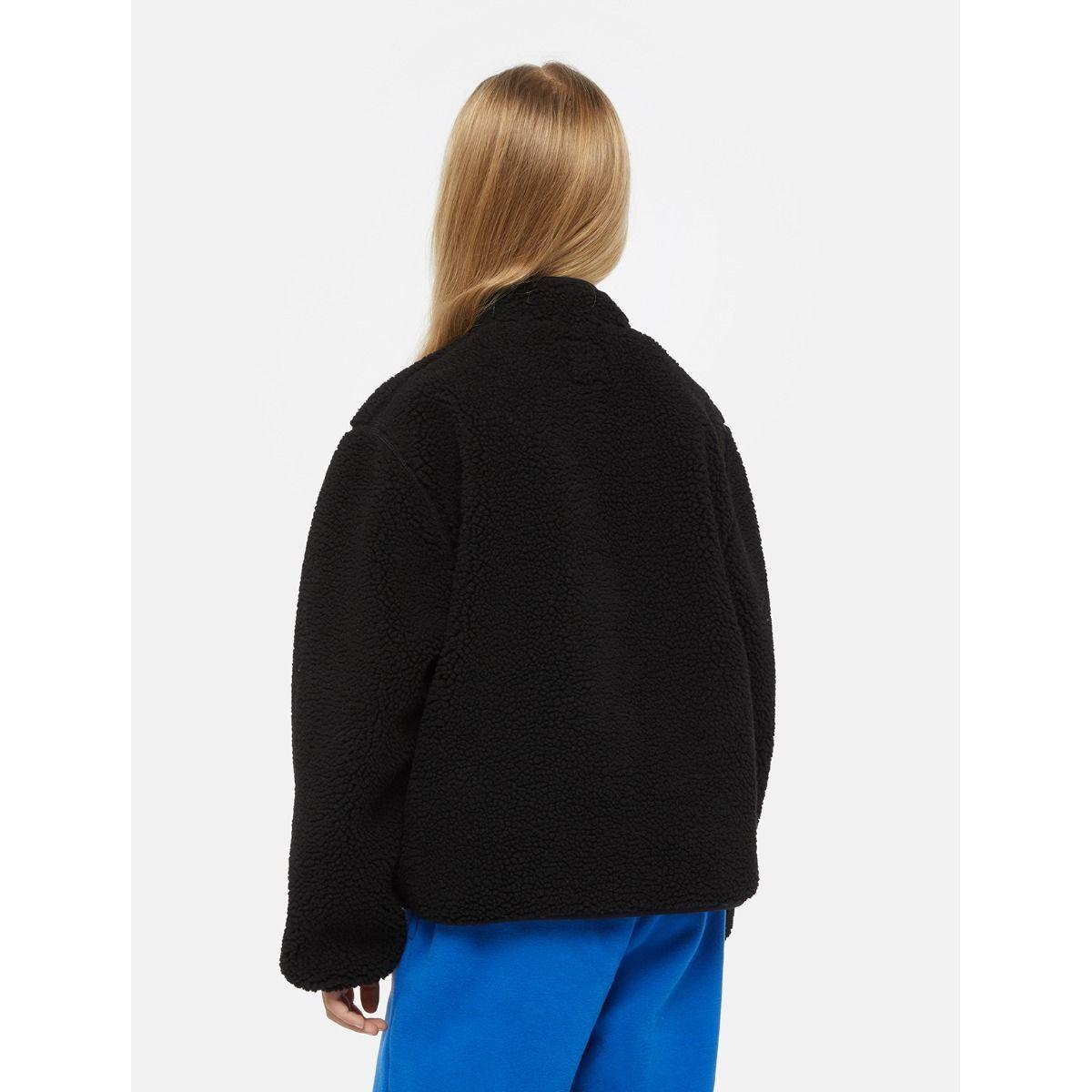 product/d/i/dickies_dk0a4z3tblk1_black_3.jpg