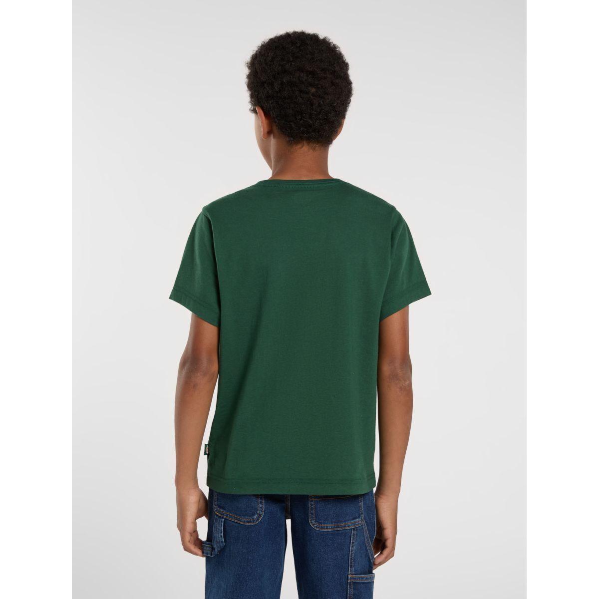 product/d/i/dickies_dk0ksr64pin1_pine-needle-green_3.jpg