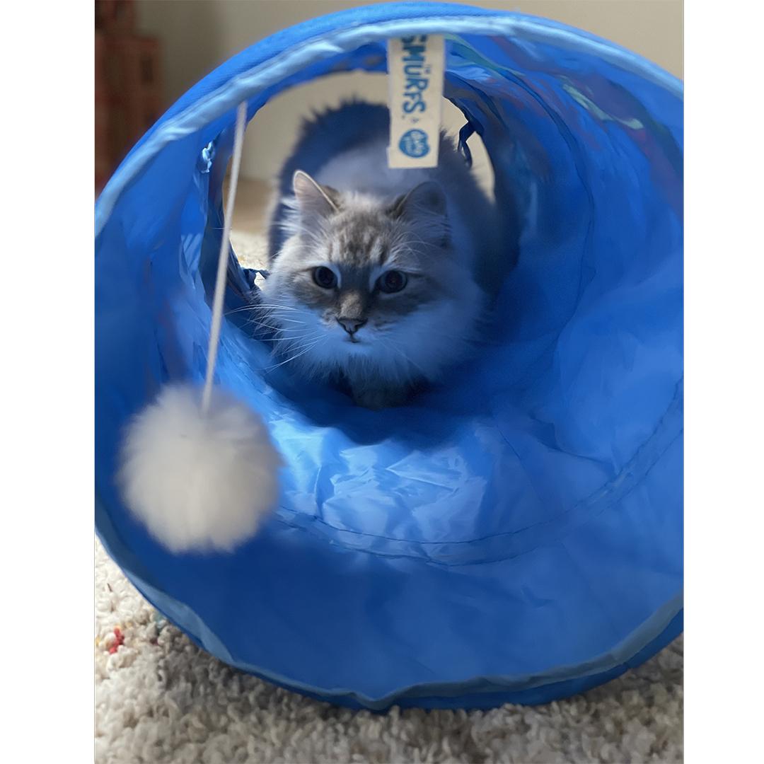 product/d/u/duvoplus_13593_3.jpg