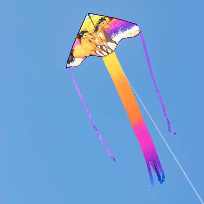 product/e/c/ecoline_ecodehor_multicolore_2.jpg