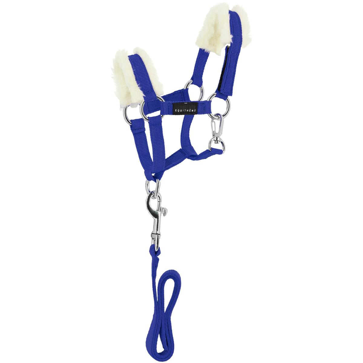 product/e/k/ekkia_901426006_bleu-roi_1.jpg
