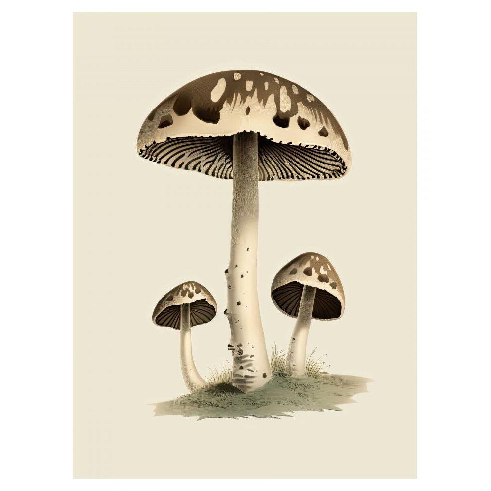 product/h/a/hartman_kb1762har-encyclo05_0.jpg