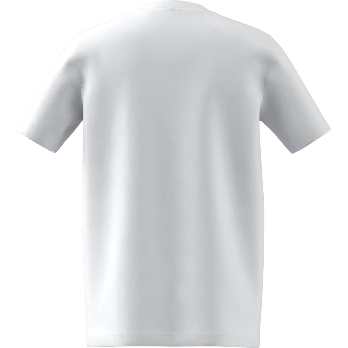 product/h/c/hc0447_app_virtual_back-center_white_1645111810.jpg