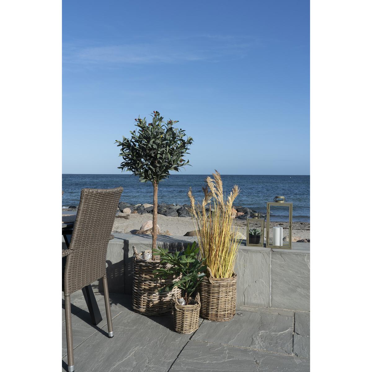 product/h/o/house-nordic_4401300_2.jpg