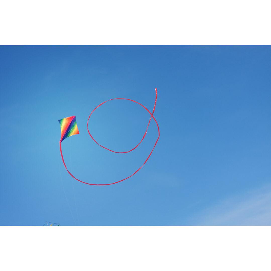 product/h/q/hq-kites_dancer2_gdancer-r2f_multi-colore_6.jpg