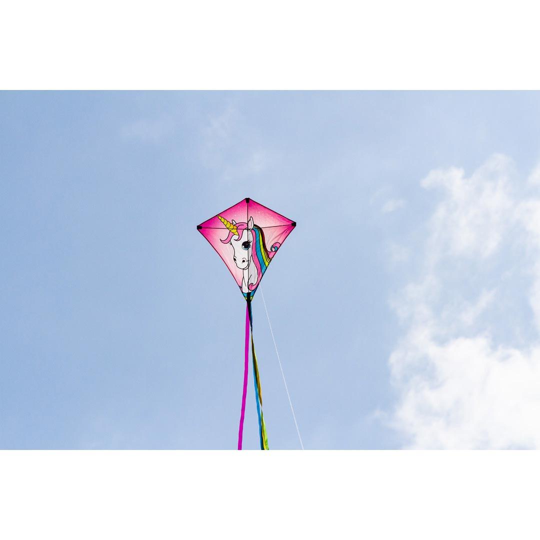 product/h/q/hq-kites_edylic_rose_3.jpg