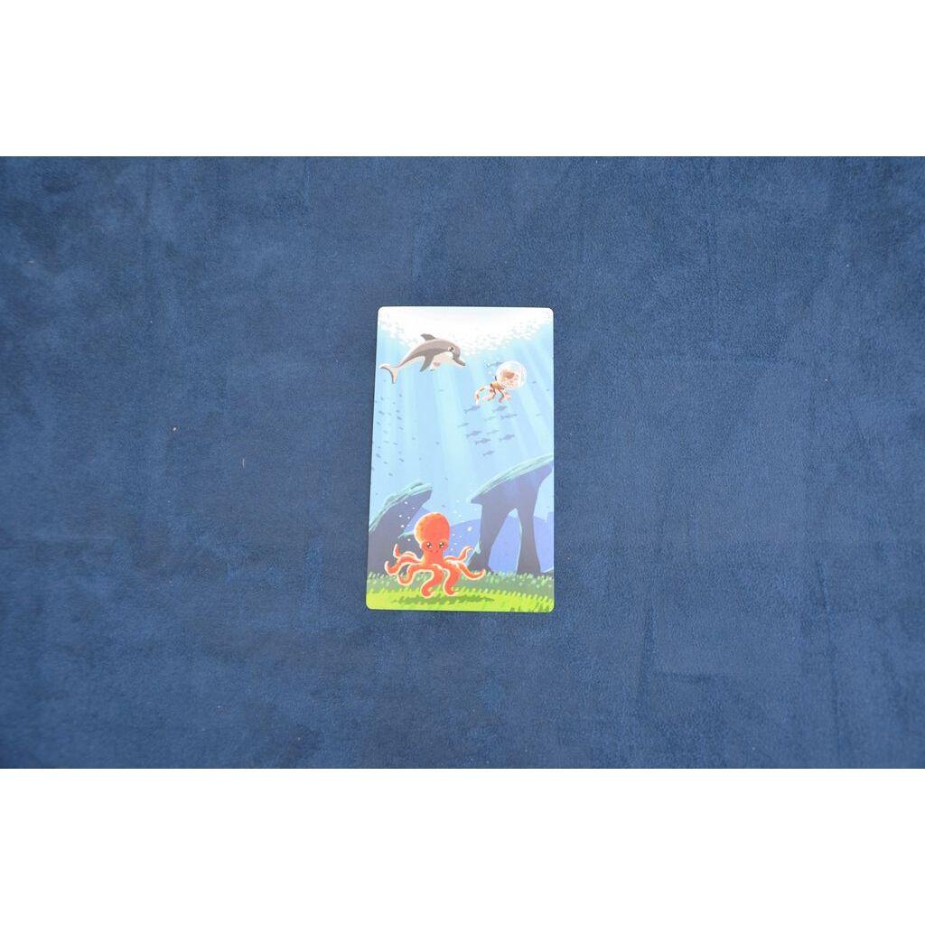 product/l/a/la-boite-de-jeu_bj121fo_multicolore_6.jpg