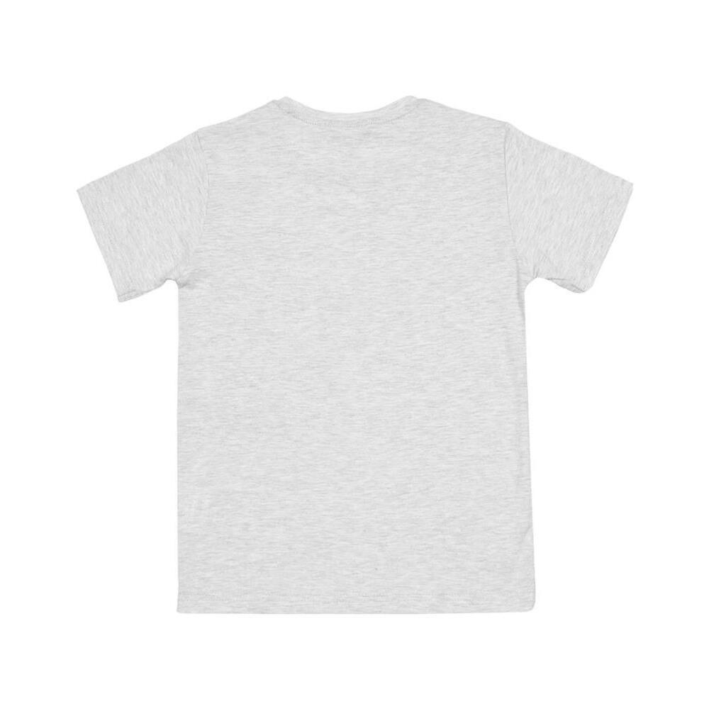 product/v/e/vent-du-cap_ecadrio-3-8-pf-gris_chine_1.jpg