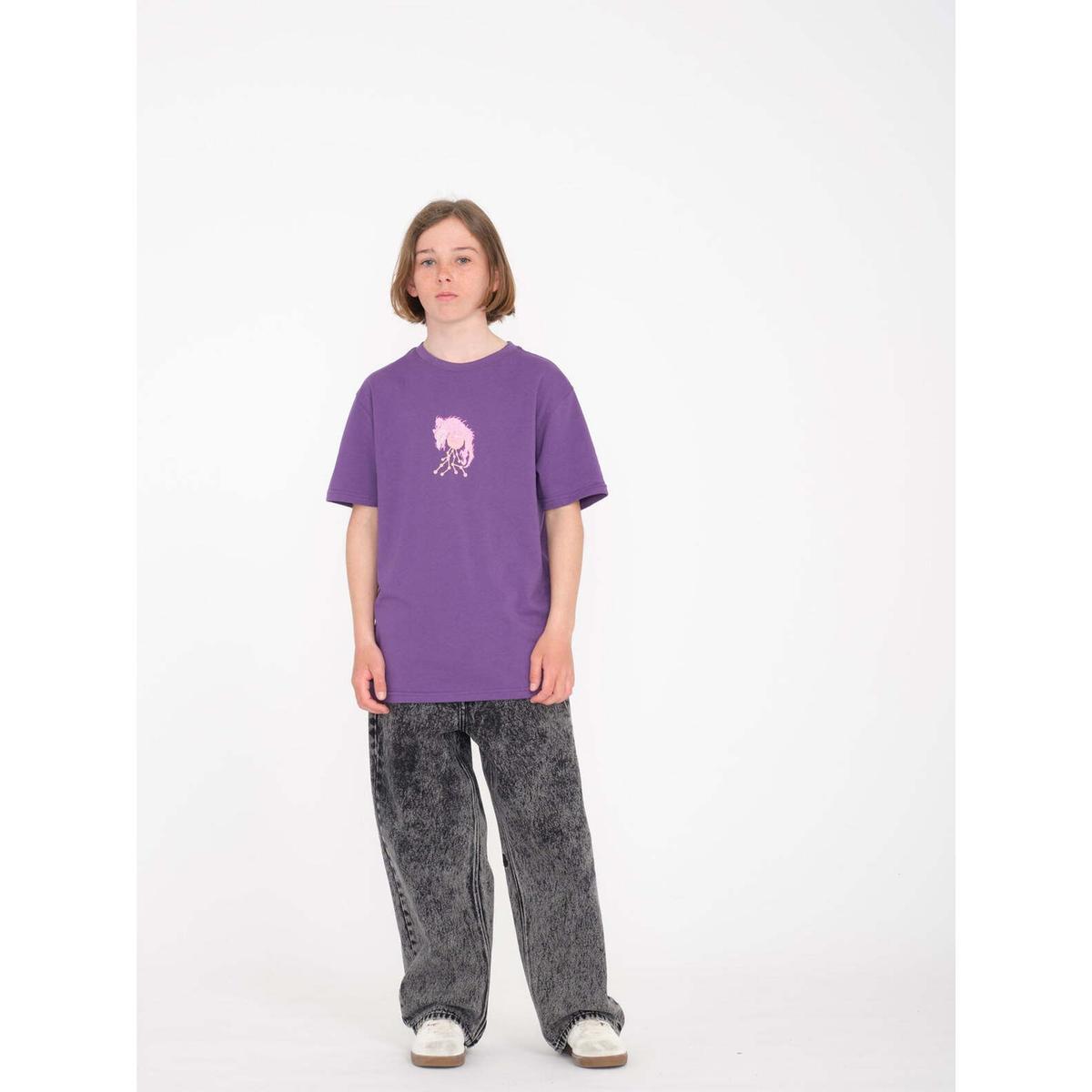 product/v/o/volcom_c1932200-lab_2-nw091024.jpg