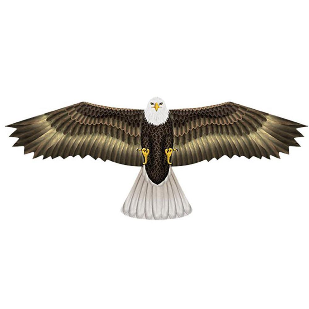 product/w/i/windnsun_wnseagle_marron-blanc_1.jpg