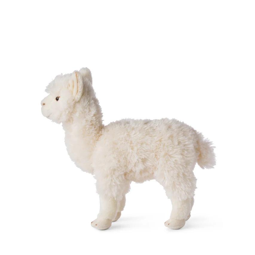 product/w/w/wwf_15198001_blanc_2.jpg