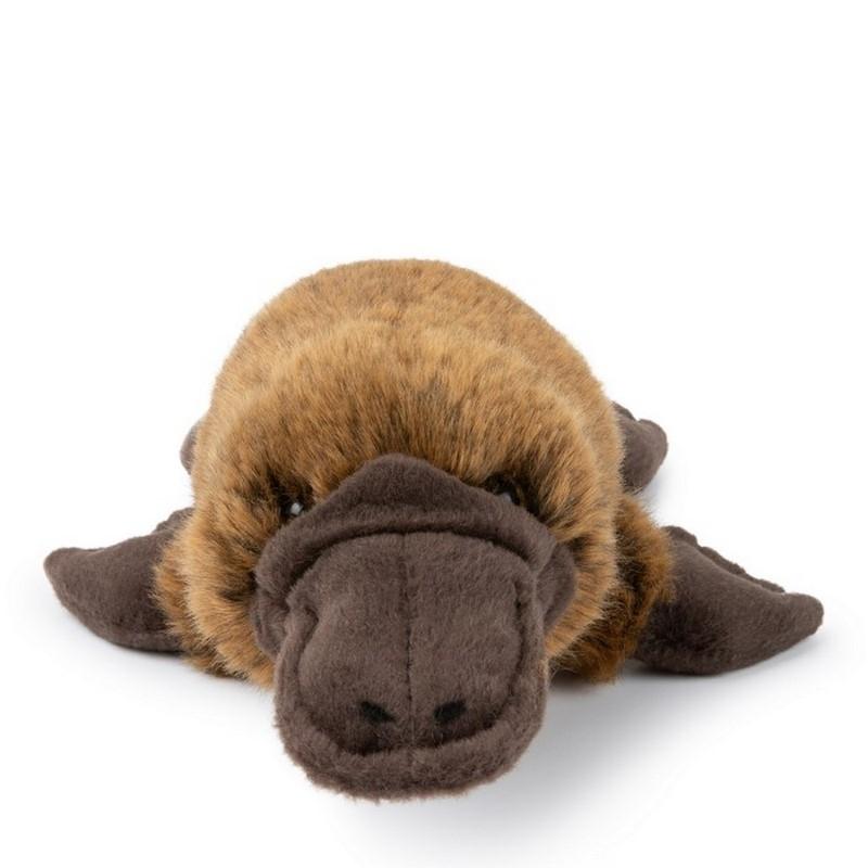 product/w/w/wwf_15211045_marron_1.jpg
