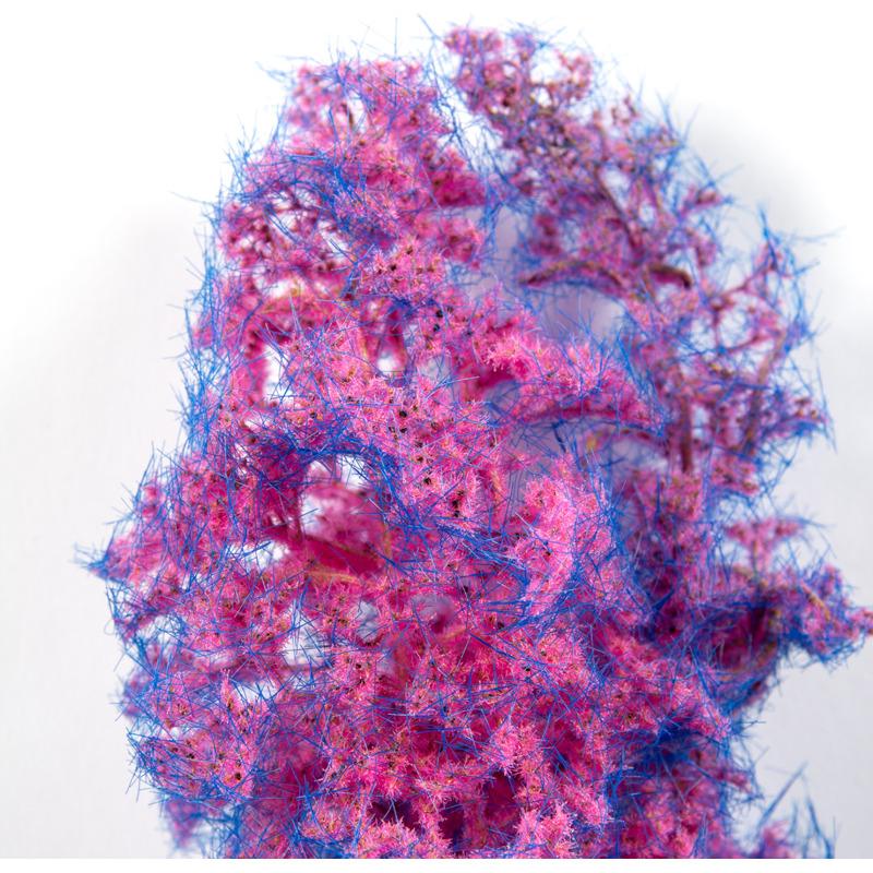 product/a/k/ak-interactive_ak8264_blue-pink_2.jpg