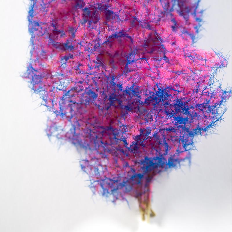 product/a/k/ak-interactive_ak8264_blue-pink_3.jpg