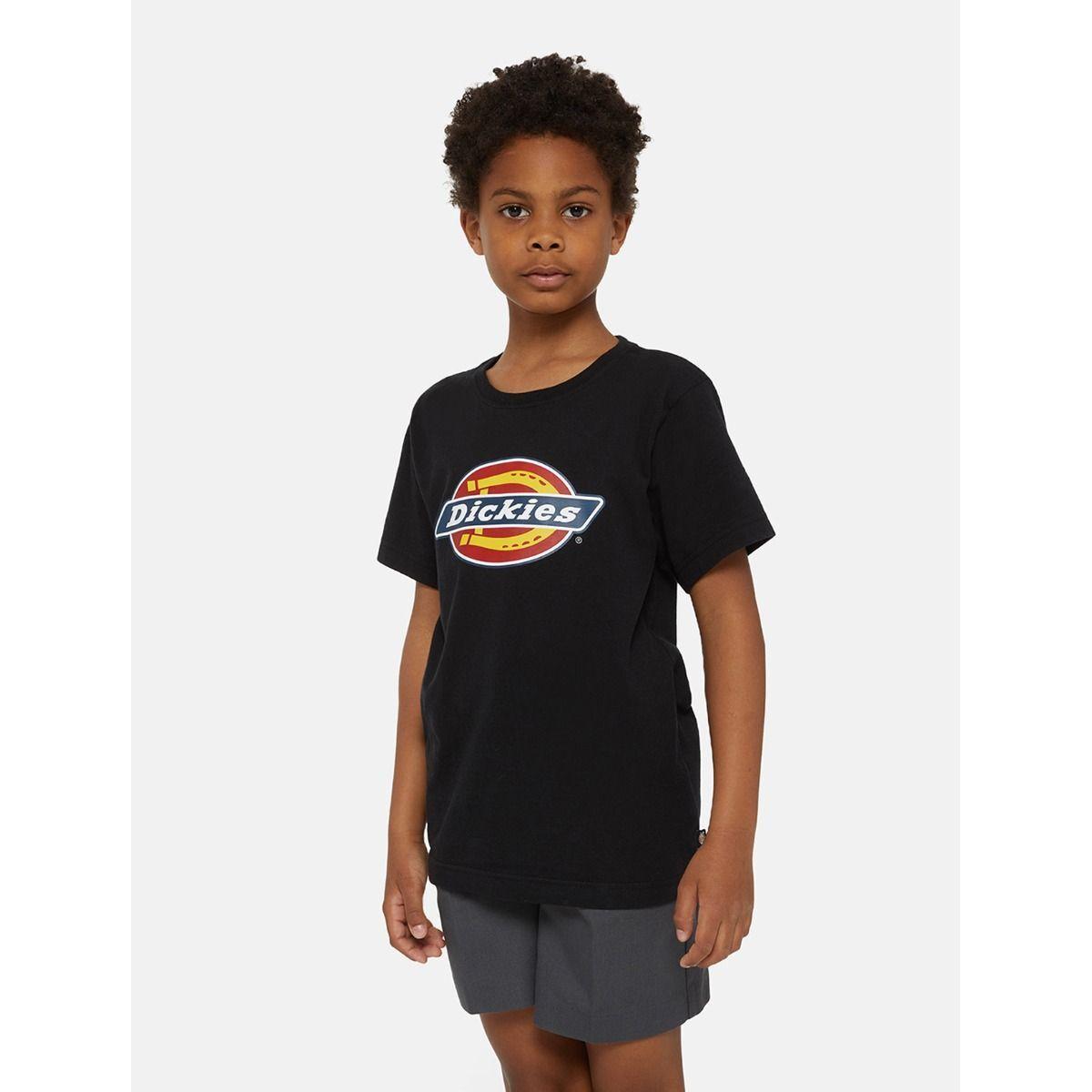 product/d/i/dickies_dk0ksr27kbk1_knit-black_3.jpg