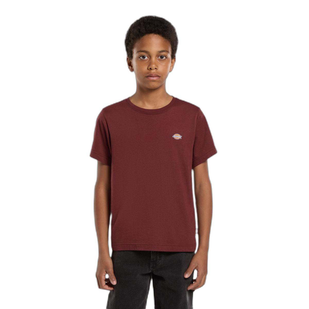 product/d/i/dickies_dk0ksr64l161_andorra_1.jpg