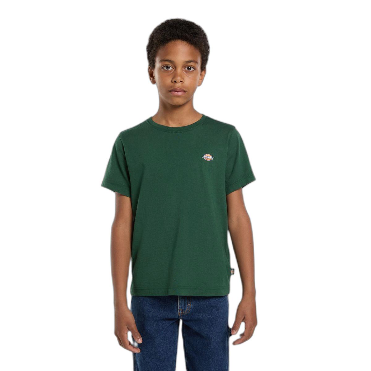 product/d/i/dickies_dk0ksr64pin1_pine-needle-green_1.jpg