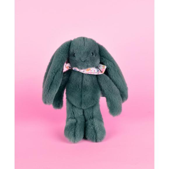 product/d/o/doudou-compagnie_dc4300_vert_4.jpg