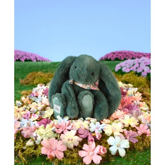 product/d/o/doudou-compagnie_dc4300_vert_5.jpg