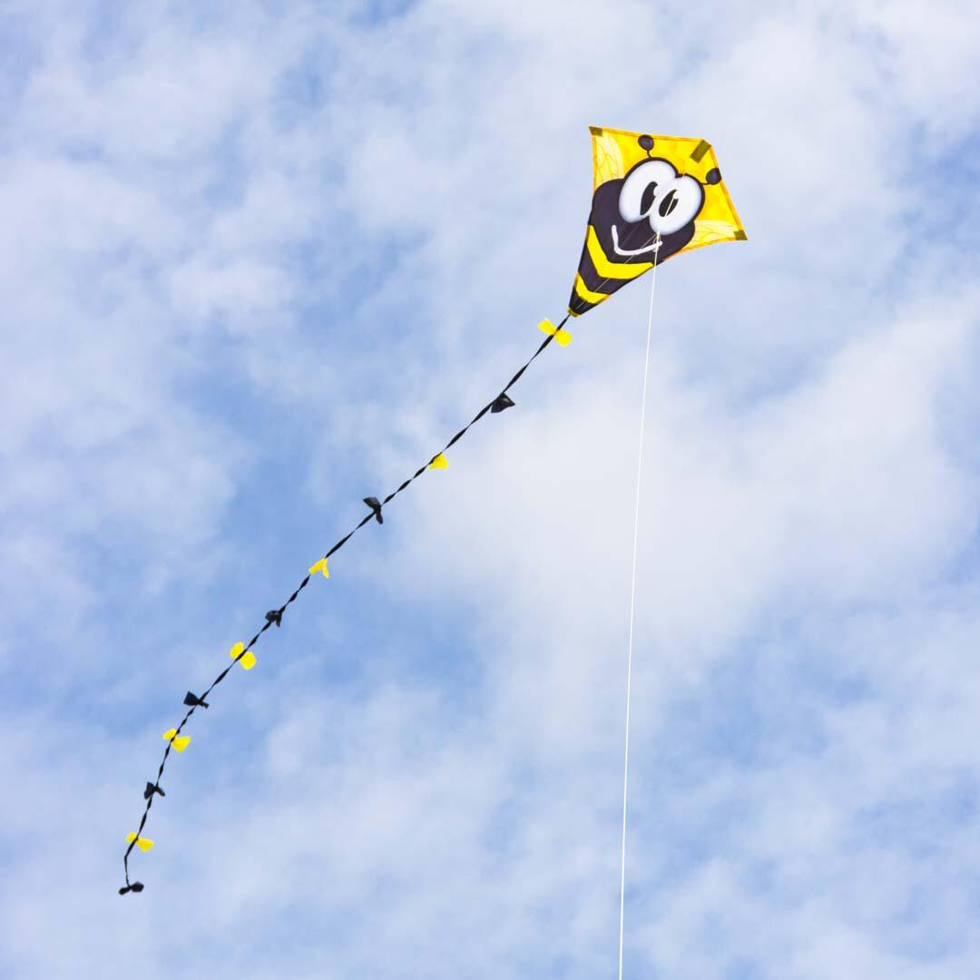 product/e/c/ecoline_ecoedbb2_jaune-noir_3.jpg