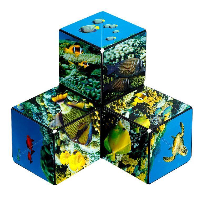 product/f/u/fun-in-motion-toys_fun004sa_multicolore_10.jpg
