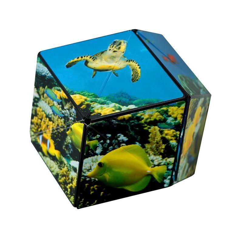 product/f/u/fun-in-motion-toys_fun004sa_multicolore_7.jpg