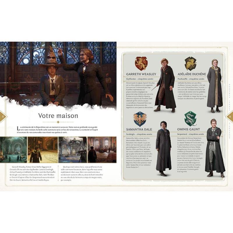 product/h/a/harry-potter_611472_bleu-vert-gris_2.jpg