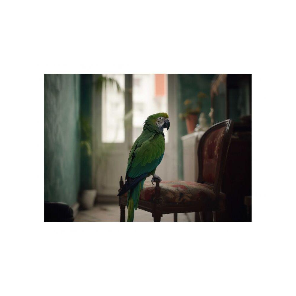 product/h/a/hartman_kb1661har-urbanzoo17.jpg