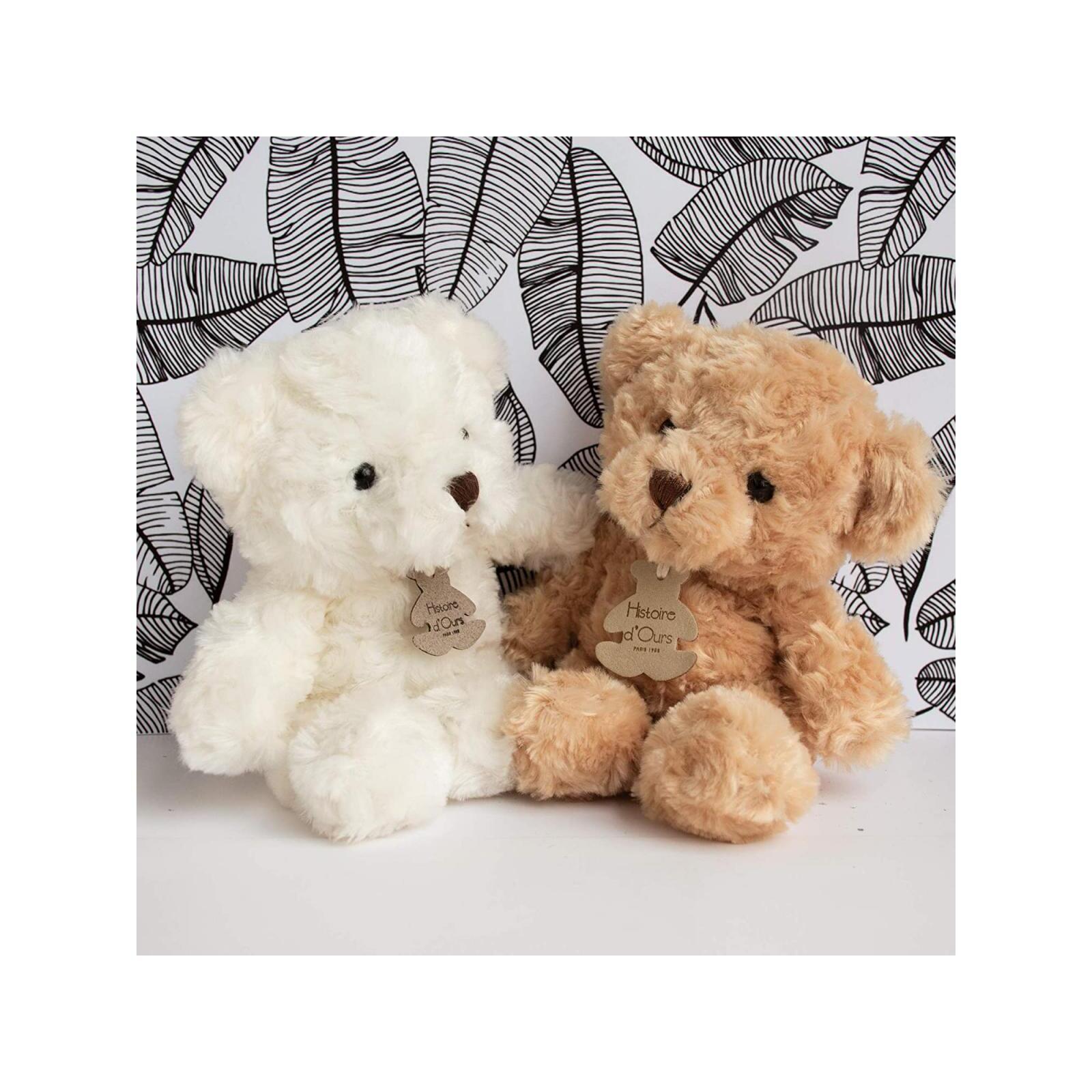 product/h/i/histoire-d-ours_ho2469floraj_miel_2.jpg