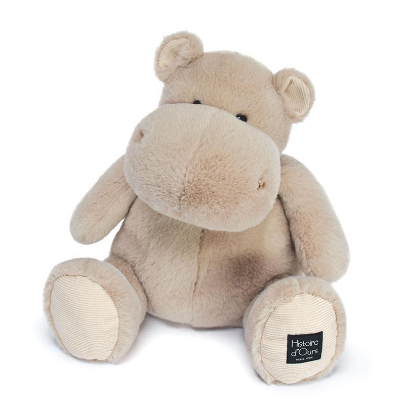 product/h/i/histoire-d-ours_ho3094_1.jpg