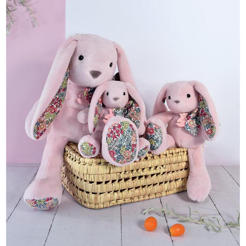 product/h/i/histoire-d-ours_ho3194_2.jpg