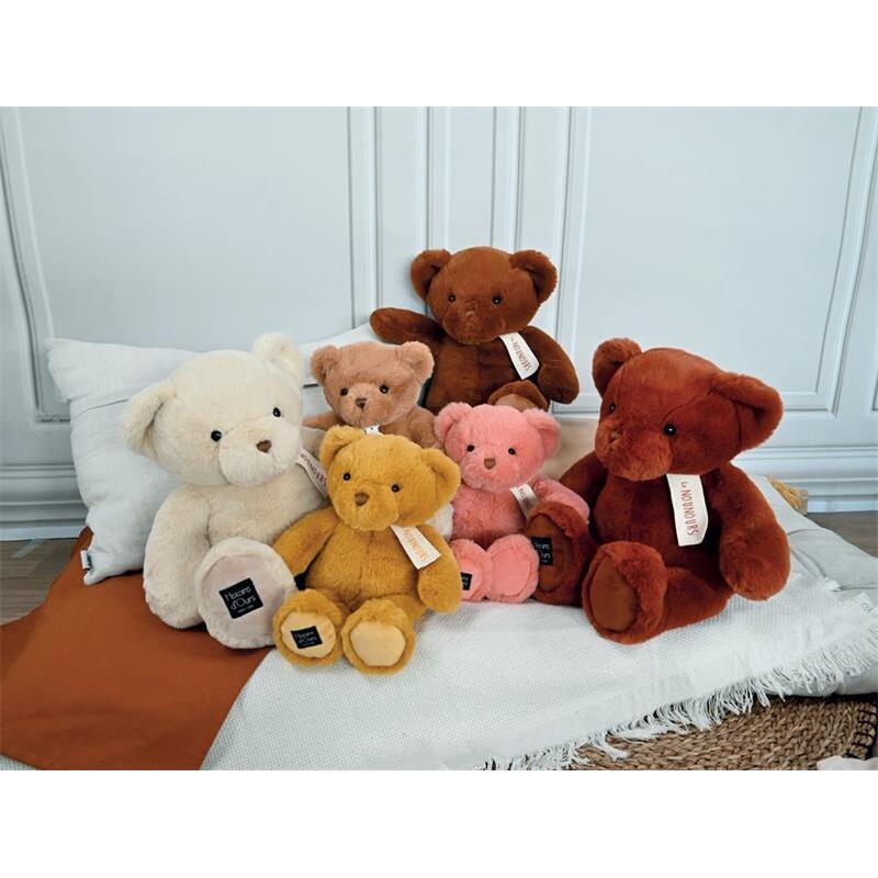 product/h/i/histoire-d-ours_ho3224_2.jpg