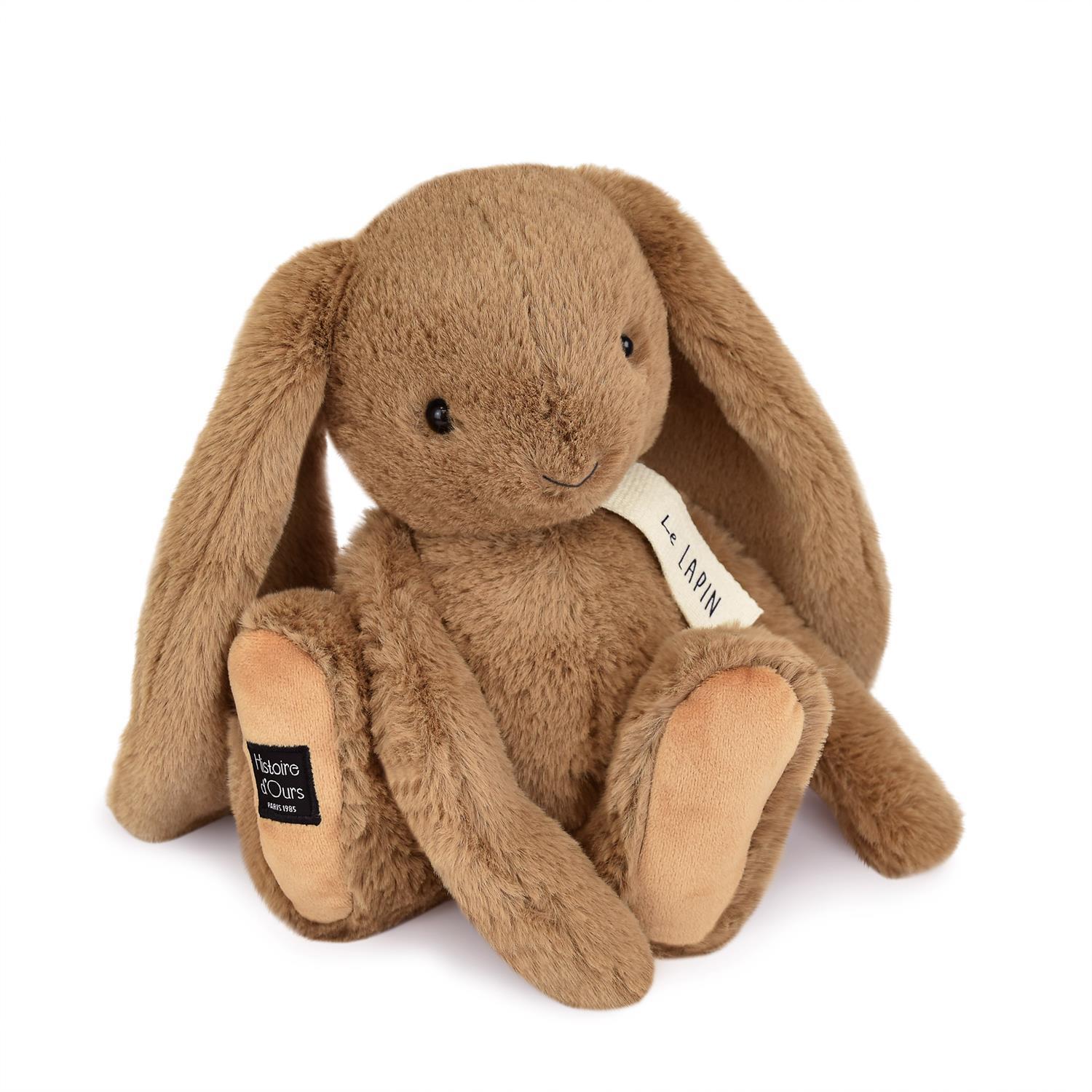 product/h/i/histoire-d-ours_ho3248.jpg