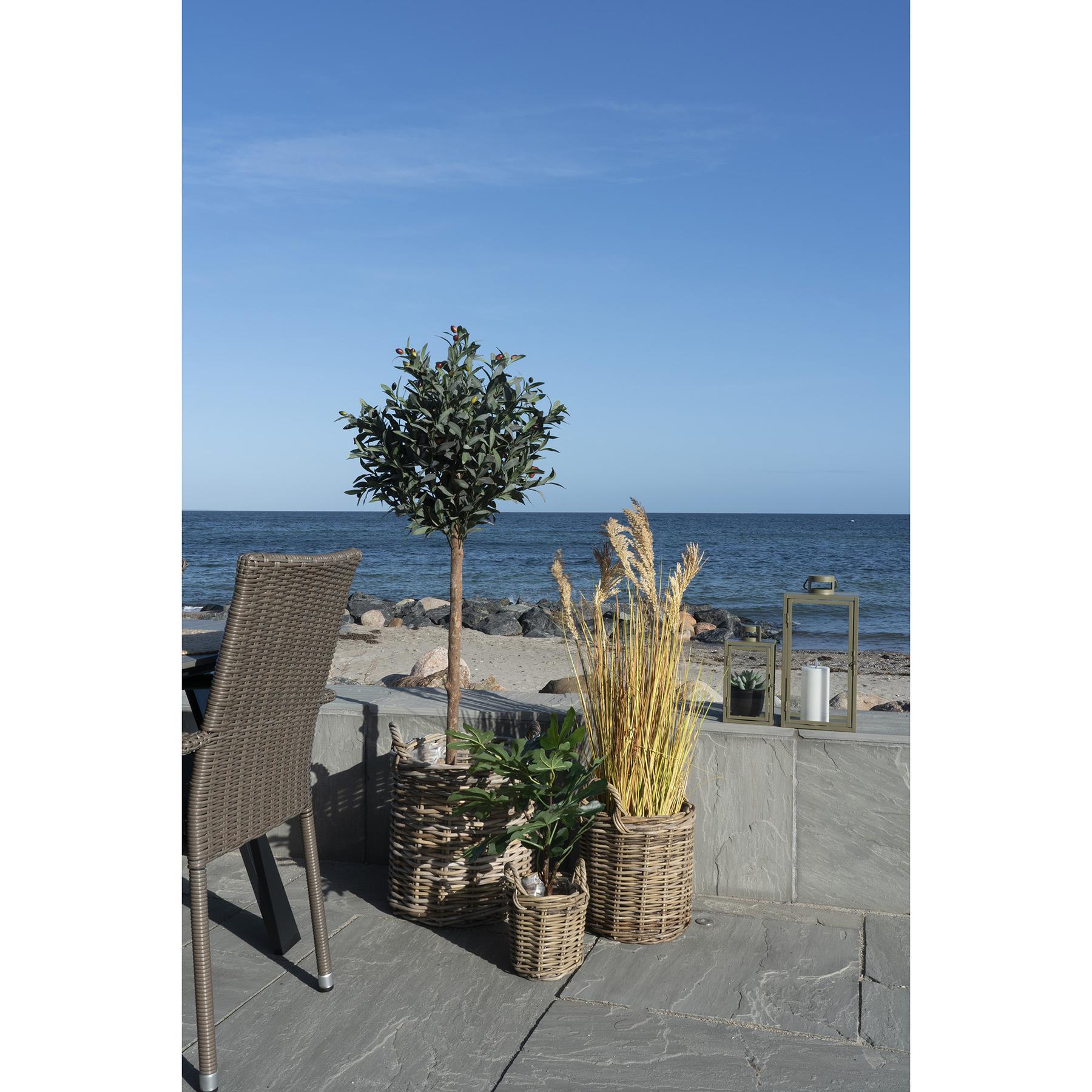 product/h/o/house-nordic_4401300_2.jpg