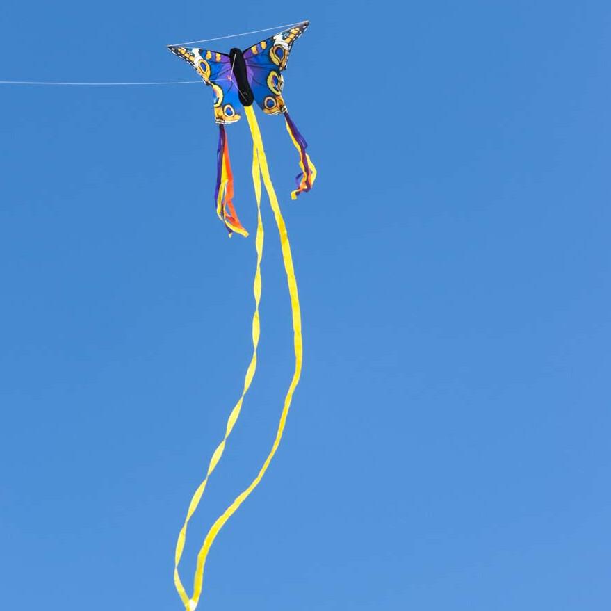 product/h/q/hq-kites_butber_bleu-jaune_2.jpg