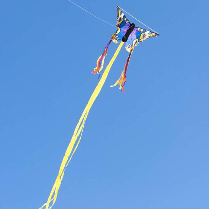 product/h/q/hq-kites_butber_bleu-jaune_3.jpg