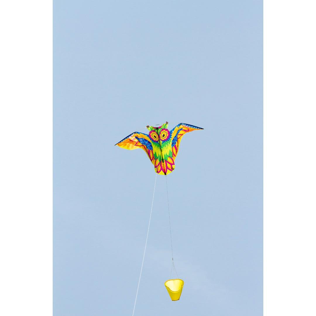 product/h/q/hq-kites_ecoowl_multicolore_2.jpg