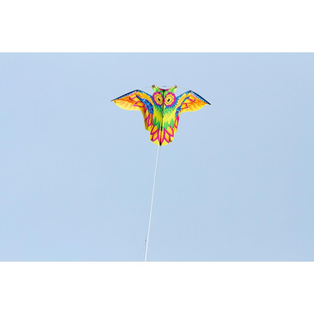 product/h/q/hq-kites_ecoowl_multicolore_4.jpg