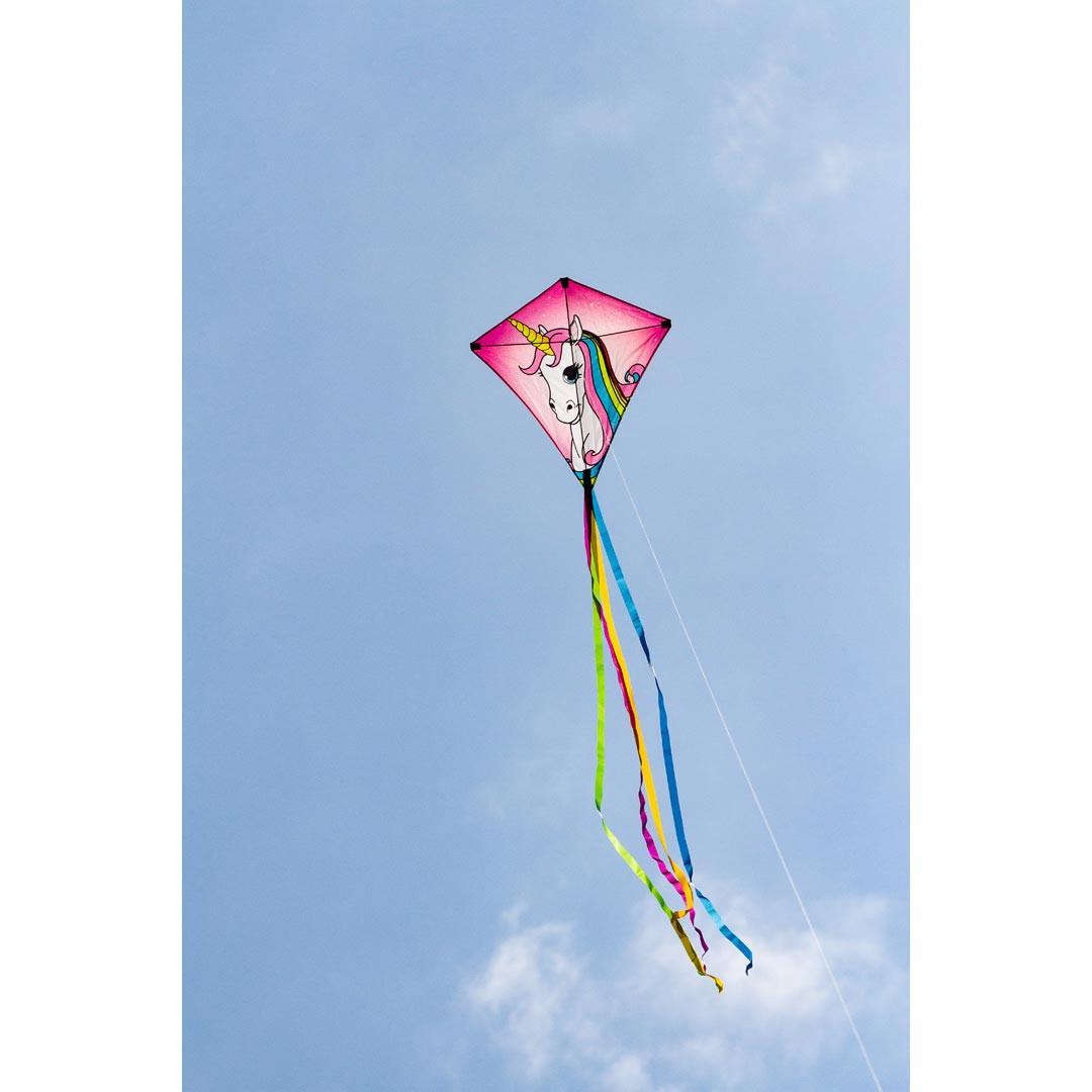 product/h/q/hq-kites_edylic_rose_2.jpg