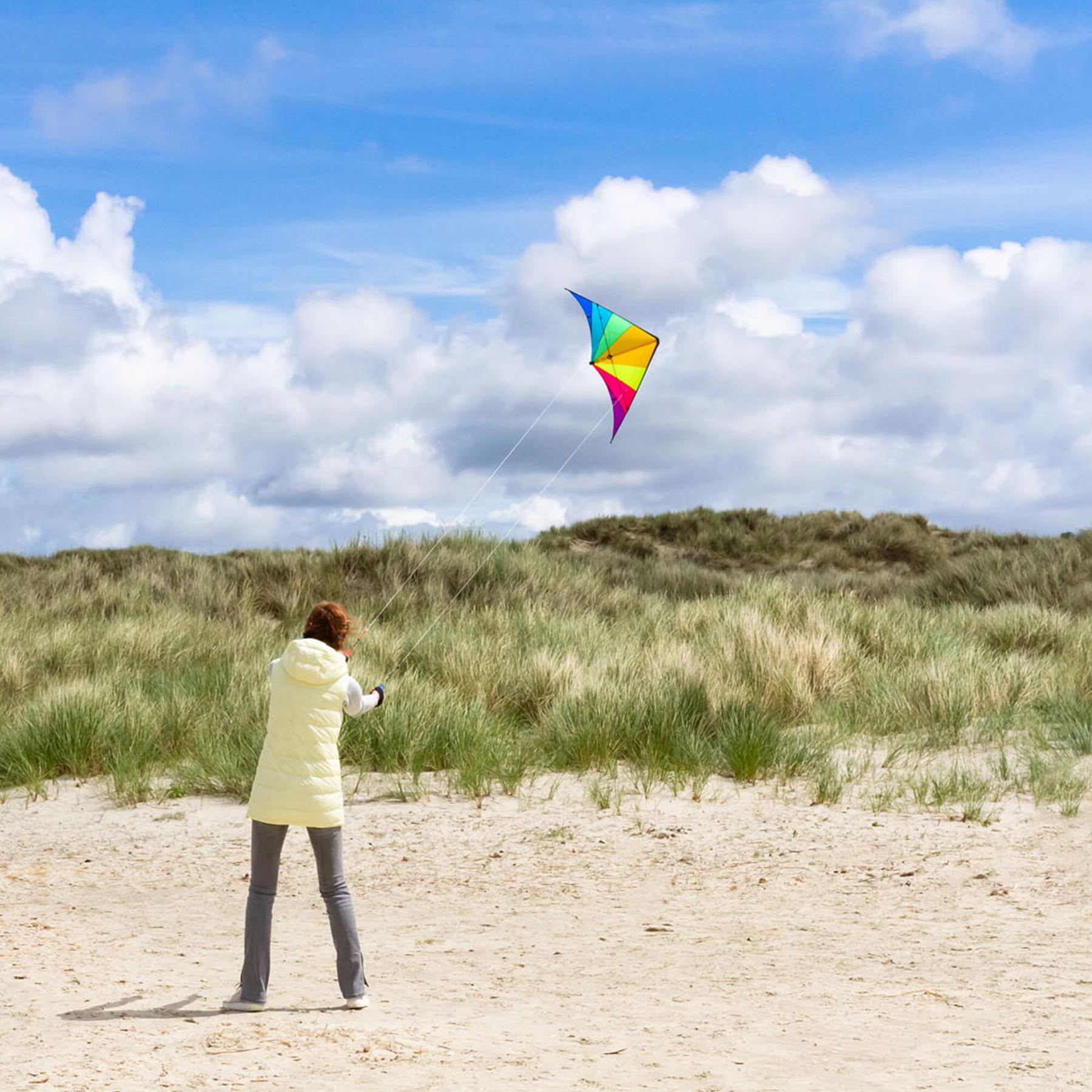product/h/q/hq-kites_hqhawk_multicolore_6.jpg