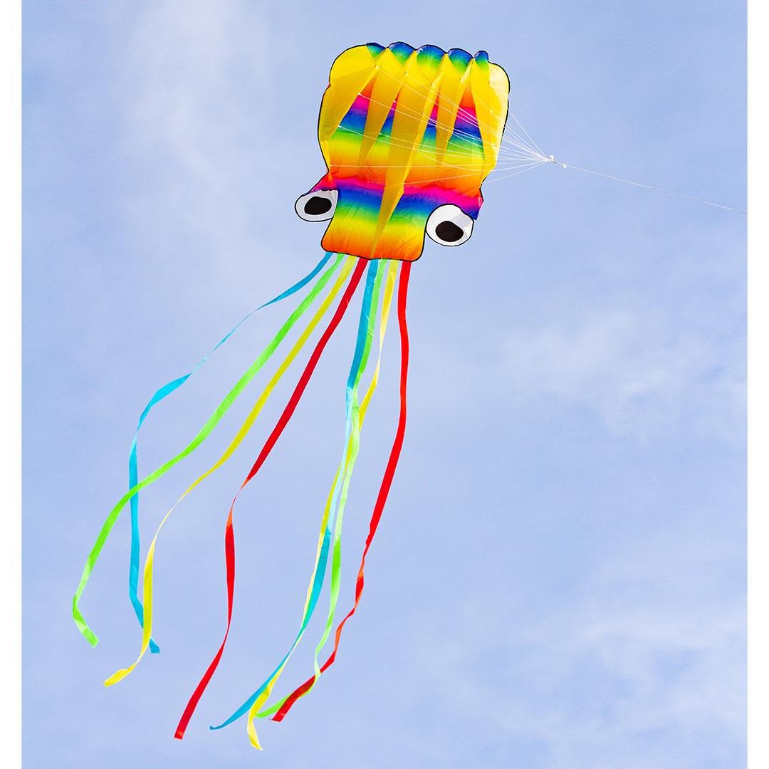 product/h/q/hq-kites_octor_rainbow_5.jpg