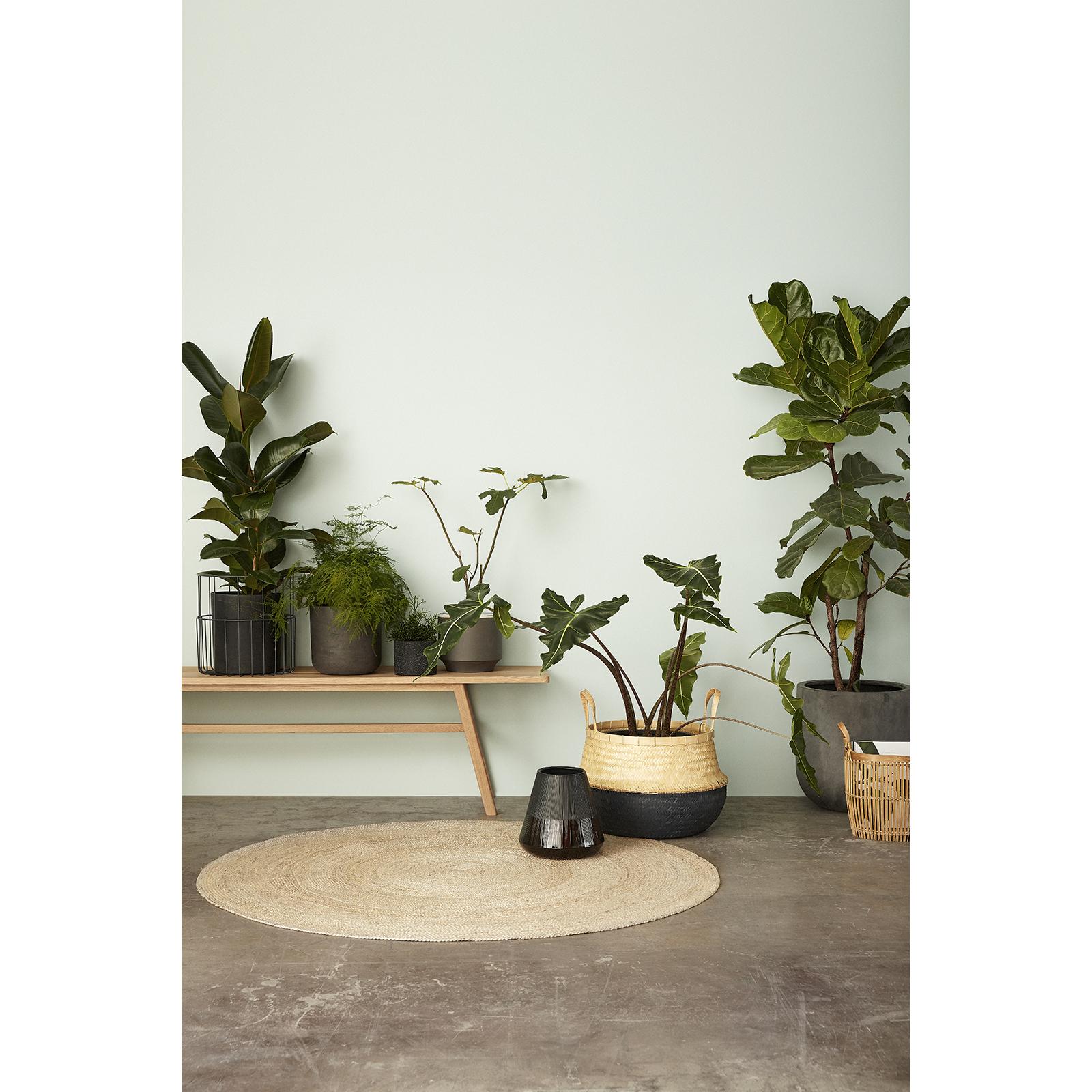 product/h/u/hubsch-interior_030604_3-nw041524.jpg