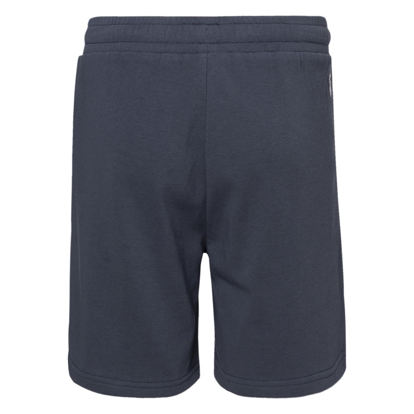 product/i/g/iguana_m000254573_ombre-blue_2.jpg
