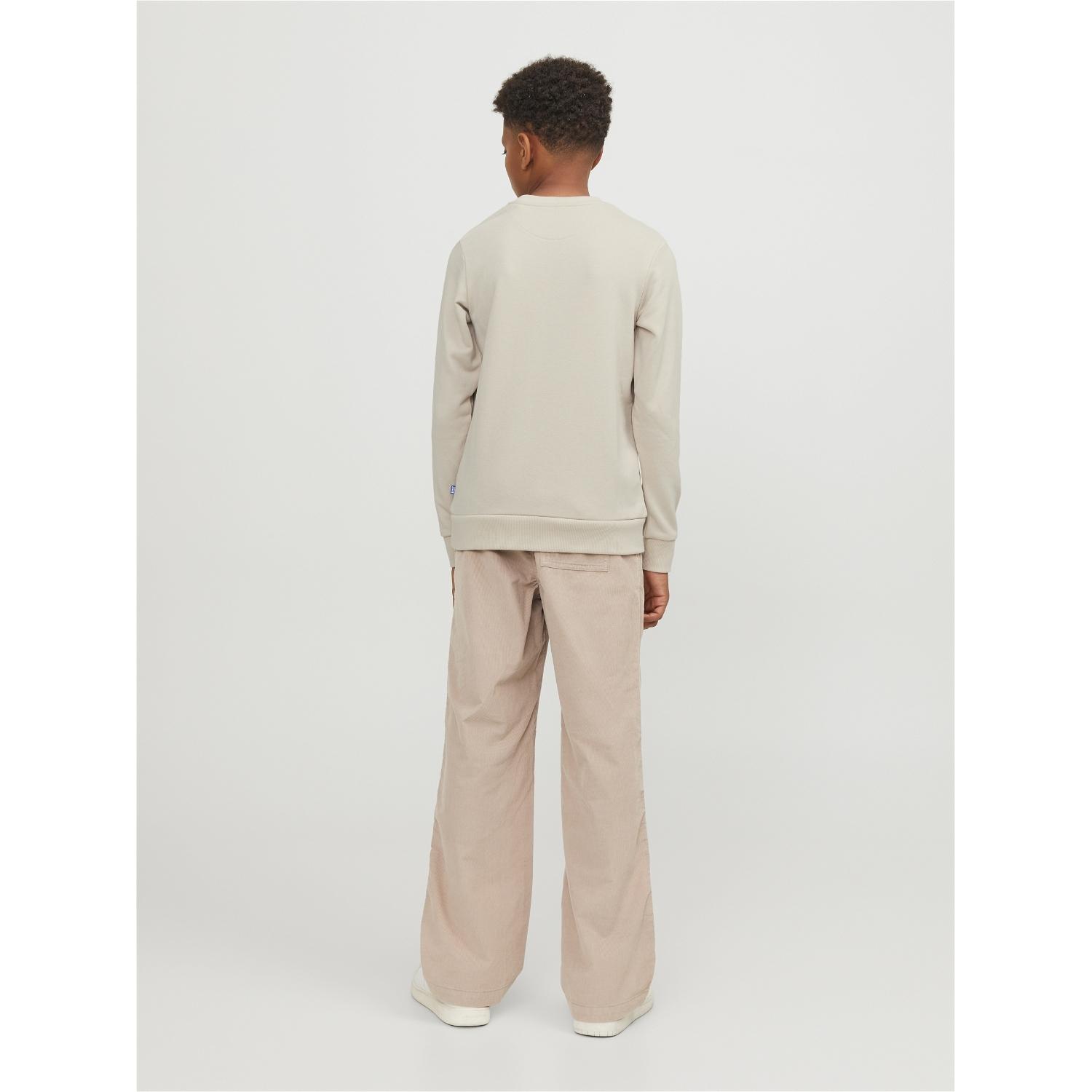 product/j/a/jack-jones_12250530-4402704_2.jpg