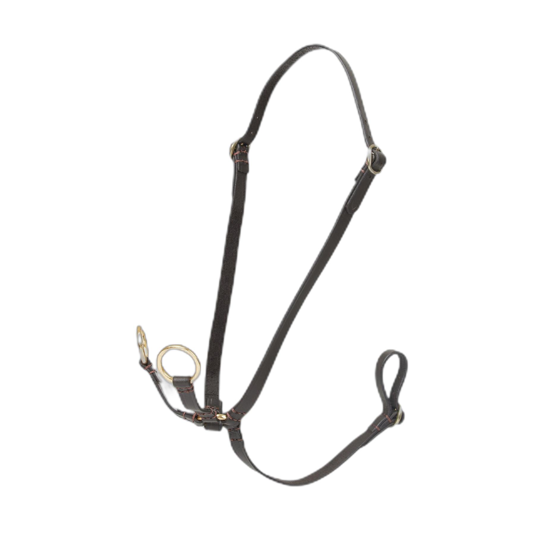 product/l/e/lemieux_it06253001_marron_4.jpg